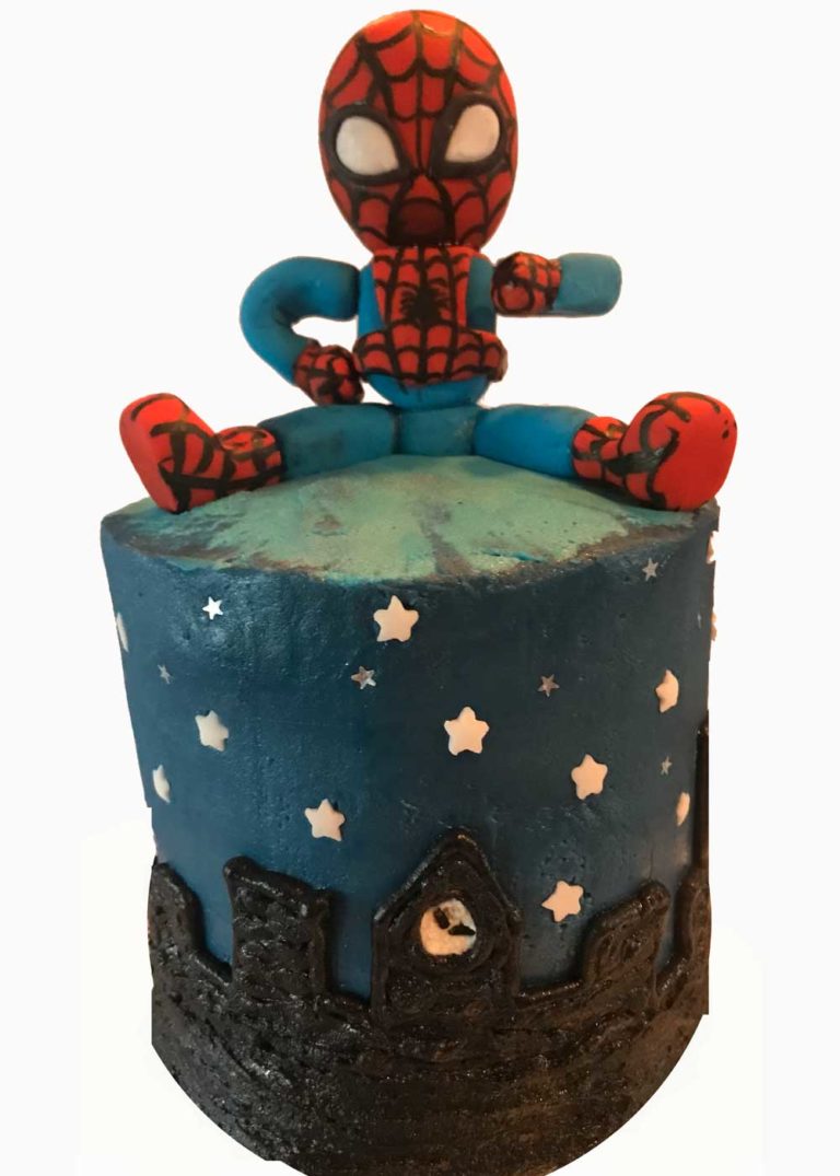 SPIDERMAN THEMED DECORATED CAKE